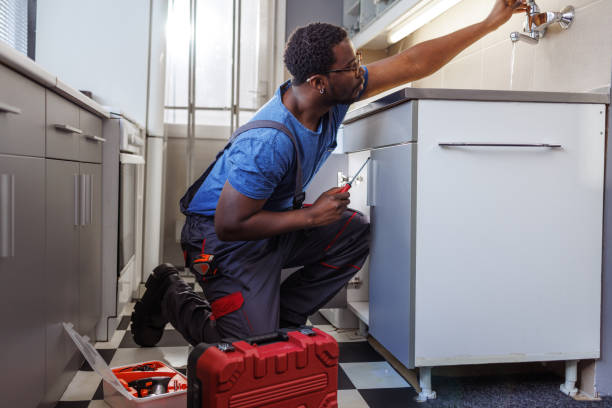 Best Local Plumber Services  in La Habra, CA